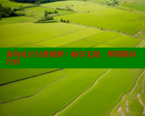 海角社区付费破解：畅享无限，解锁精彩内容