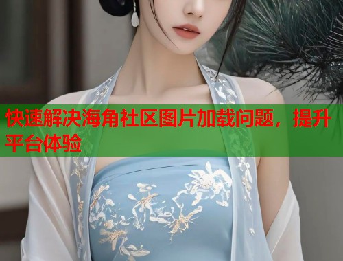 快速解决海角社区图片加载问题，提升平台体验