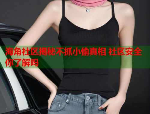 海角社区揭秘不抓小偷真相 社区安全你了解吗
