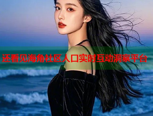 还看见海角社区人口实时互动洞察平台